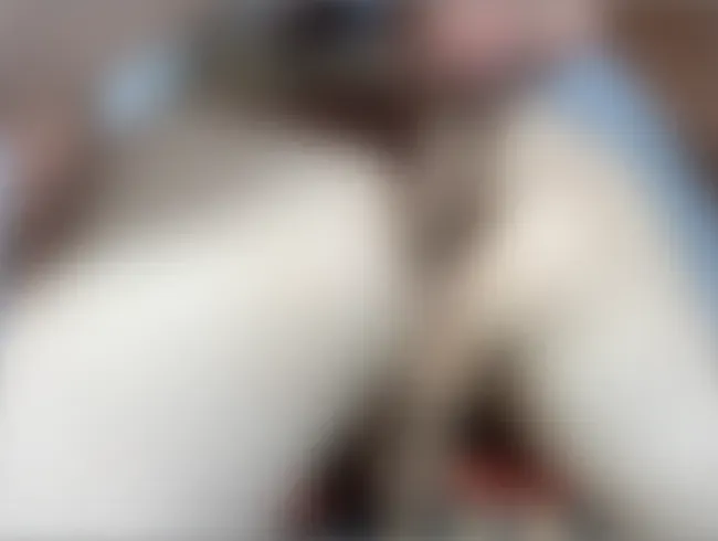 Trainer fickt einen jungen Fußballspieler nach einem Spiel