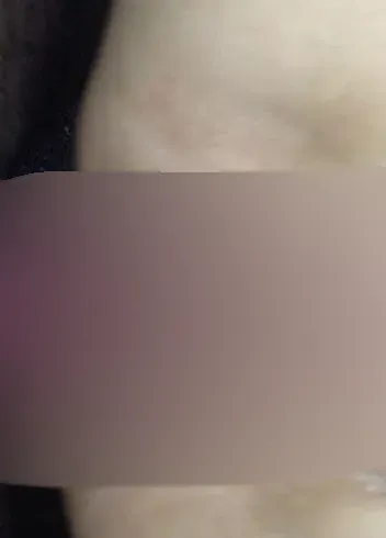 Ein schöner Analfick aus unserer Kennenlernphase auf unserer Schaukel