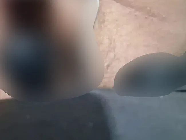 Anal Plug Tausch - DStar5