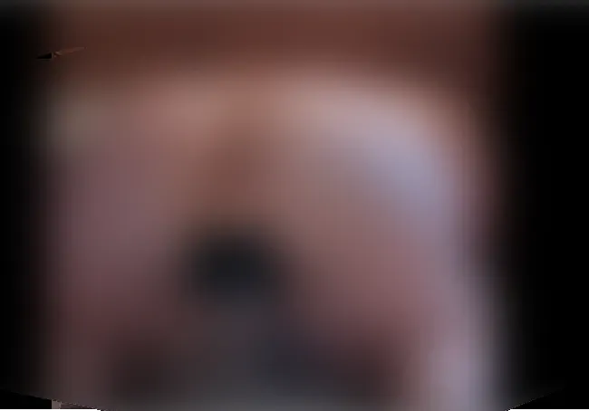 arsch mit dicken dildo gefickt