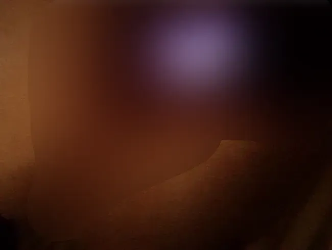 Anales nutz Nutzvieh,, Die brauch mal wieder ein fettenschwanz