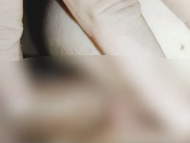 Intensiver Arschfick mit sabberndem Fötzchen, einem Handjob und XXL Ladung!