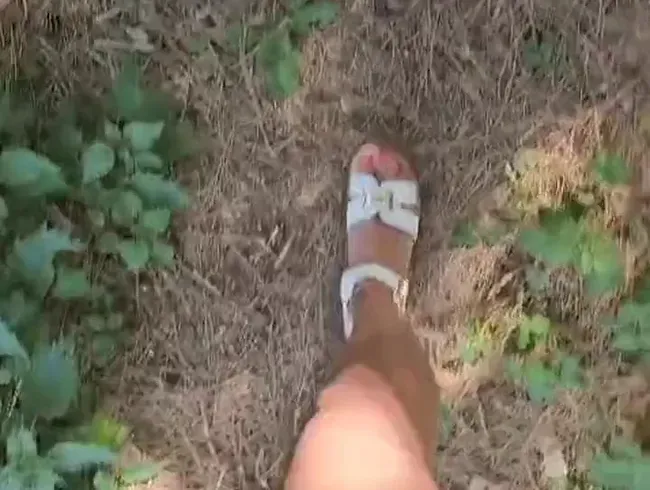 Im Wald herumlaufen, reden, pinkeln, Beine machen